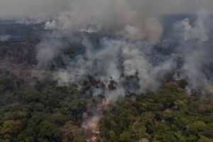 Fumaça densa sobe de várias áreas queimadas em floresta tropical, com árvores verdes e áreas carbonizadas visíveis. O céu está encoberto pela fumaça.