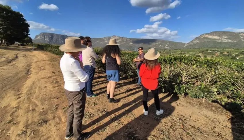 Sebrae Bahia lança Rotas Especiais da Chapada Diamantina durante a ABAV Expo em São Paulo | ASN Bahia