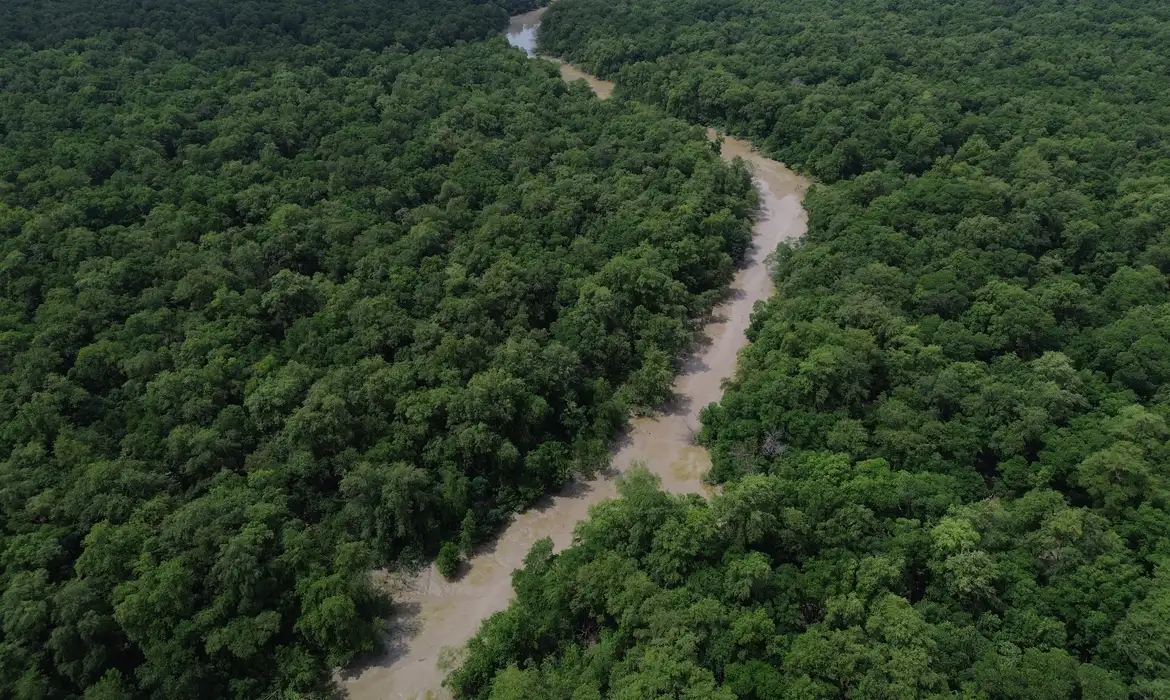 Desmatamento cai 41,8% na Amazônia e 23,8% no Cerrado em um
