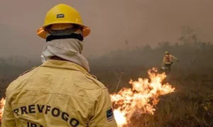 Governo faz força-tarefa e envia 11 aeronaves para combater