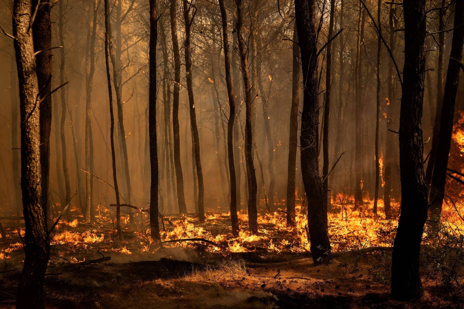 Mudança climática levou a 32 mil mortes na Europa – 22/10/2026 – Ambiente