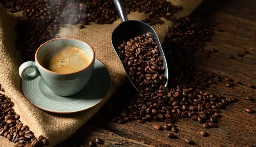 Café do sertão baiano vence concurso e é eleito o melhor do Nordeste | ASN Bahia
